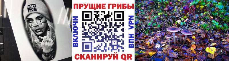 Псилоцибиновые грибы Magic Shrooms  Анапа 