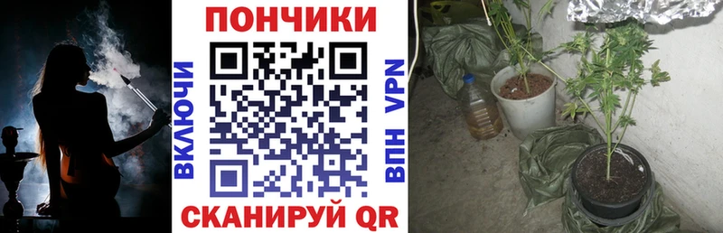 Шишки марихуана планчик  как найти наркотики  Анапа 